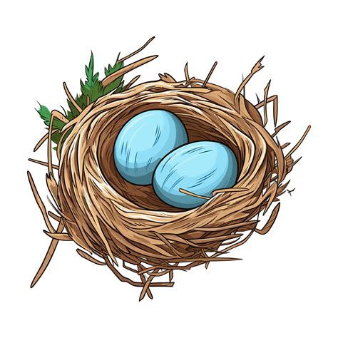 Vogel Nest mit Ei Clip Art, Illustration von ein Vogel Nest mit Ei ...