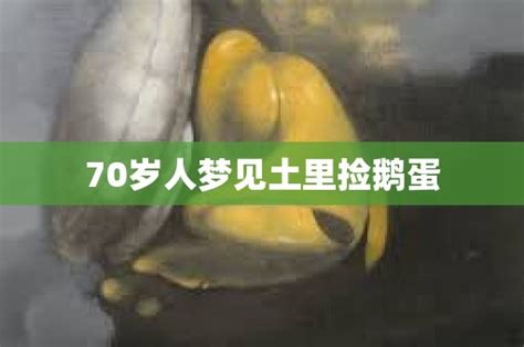 70岁人梦见土里捡鹅蛋 - 命理解梦