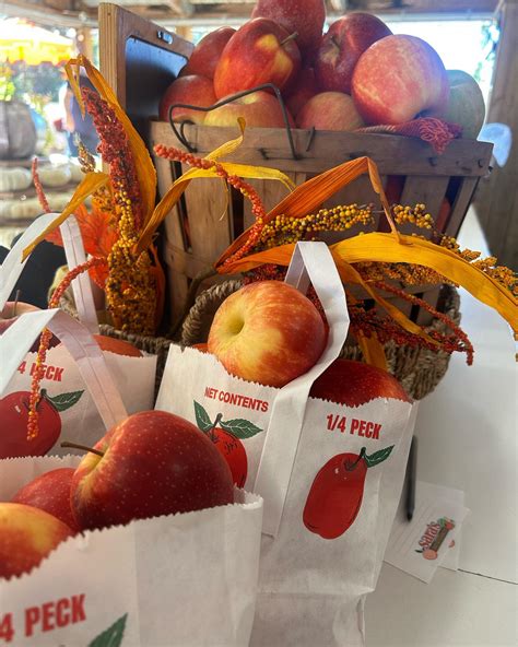 SARA'S FRESH MARKET - Aiken SC - Hours, Directions, Reviews - Loc8NearMe