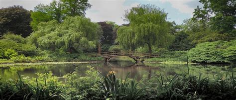 Small Bridge 的图像结果