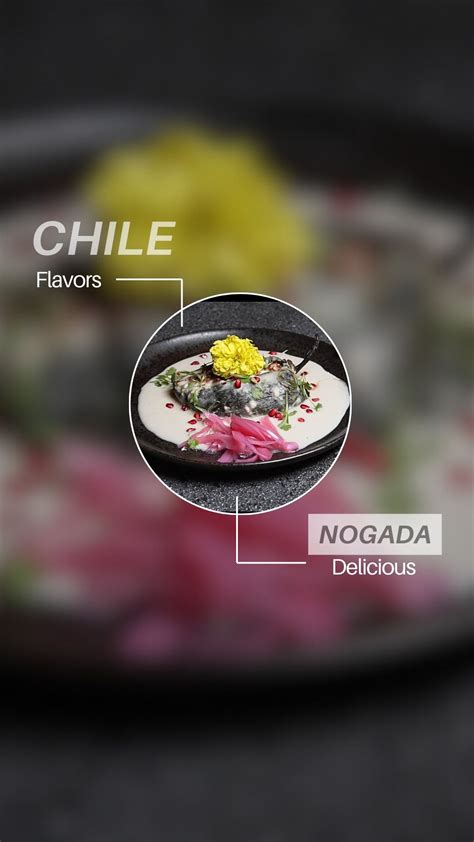 CAMELIA Modern Mexican Cuisine (@cameliamodernmexicancuisine ...