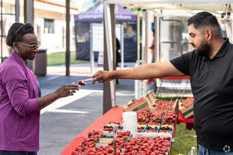 About Rancho Santa Teresa | Schools, Demographics, Things to Do - Homes.com