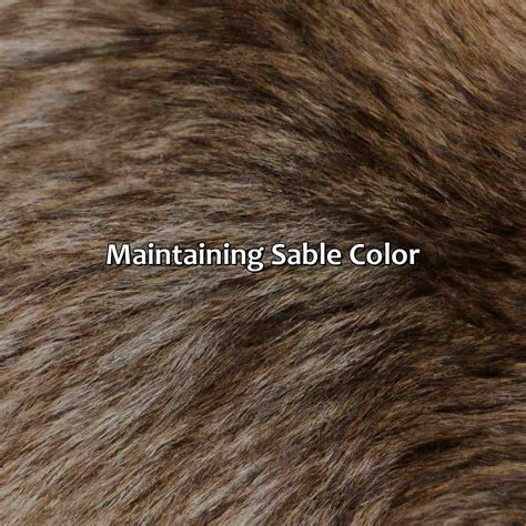 What Colour Is Sable Fur at Eric Mullins blog