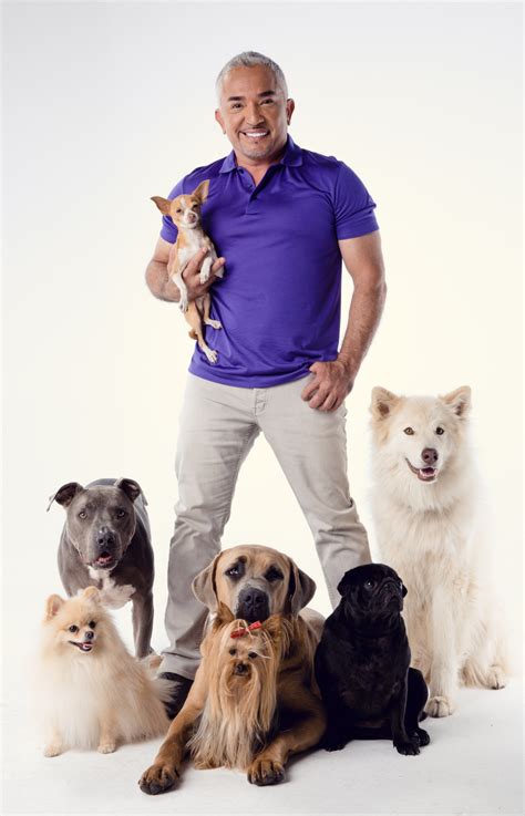 Cesar Millan, the Dog Whisperer, wants to train people, not dogs, into ...