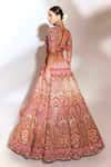 Buy Red Tussar, Silk, Net Zari, Sequins, Stones, Embroidery Bridal ...