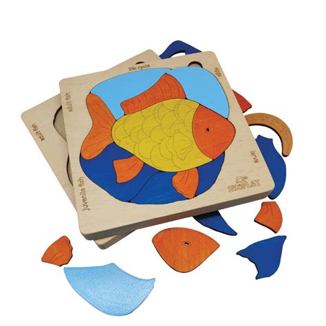 Buy Wooden Life Cycle of a Fish - SkilloToys.com