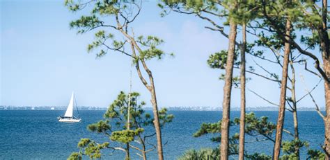 Image result for Port of Modjo