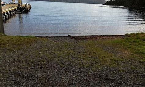 Puerto Toro Tourism (2022): Best of Puerto Toro, Chile - Tripadvisor