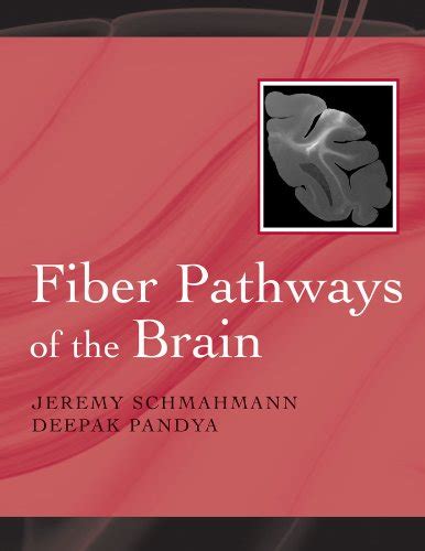 Fiber Pathways of the Brain eBook : Schmahmann, Jeremy D., Pandya ...