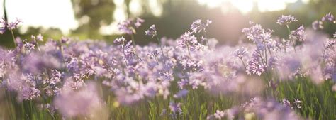 McAdams Mortuary | Paoli IN funeral home and cremation