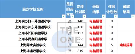 3935人报名！直击南京外国语学校“小升初”摇号，7月2日测评！
