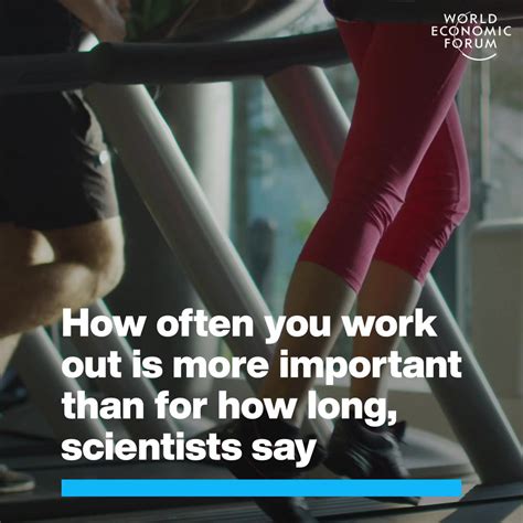 Daily Exercise 的图像结果