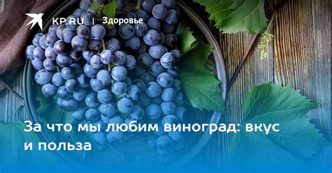 За что мы любим виноград: вкус и польза - KP.RU