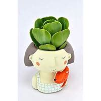 Brotherhood Enterprise Poly Resin Pot, Yellow, 3 Pieces : Amazon.in ...