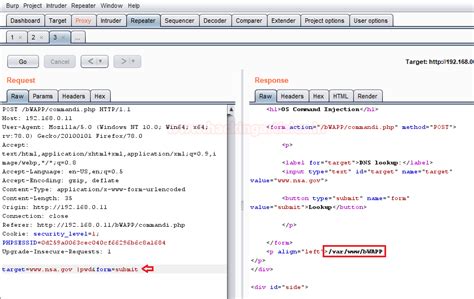 Comprehensive Guide on OS Command Injection