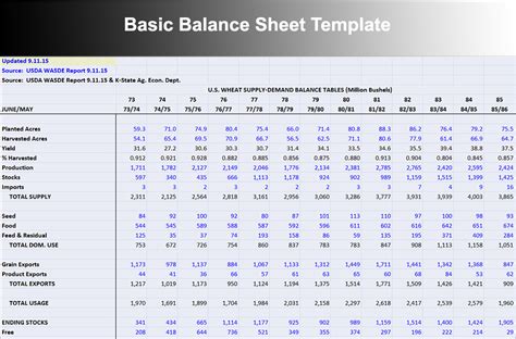Simple Balance Sheet Format Excel