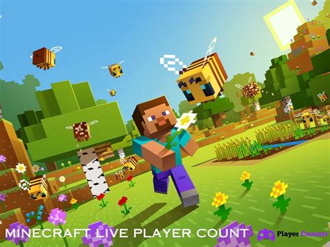 Image result for How Many Players Play Minecraft Java