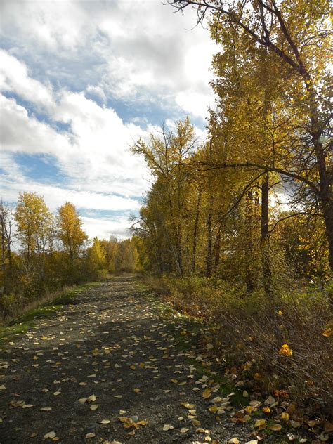 Irene Rinehart Riverfront Park — Washington Trails Association