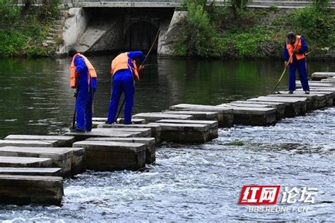 水清河晏！在北京凉水河，我发现了河流的“快乐密码”_腾讯新闻
