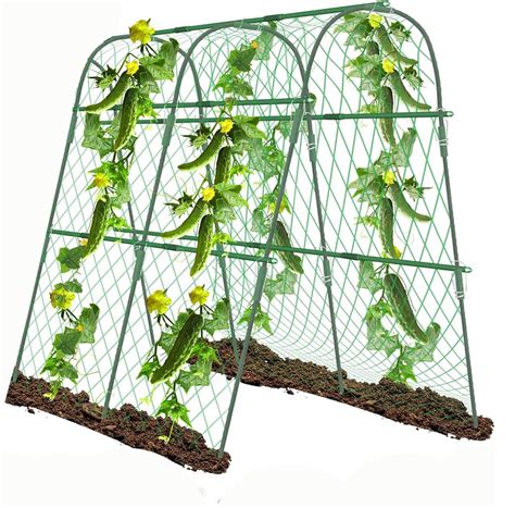 Buy Round Frame Garden Arch Arbor Cucumber Trellises Zucchini Trellis ...