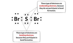 SBr2 Lewis Structure in 6 Steps (With Images)