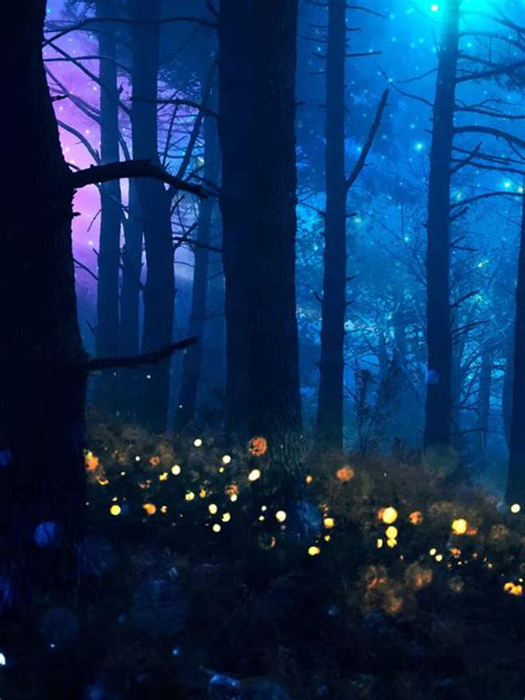 10 plants that glow in the dark | TOIPhotogallery