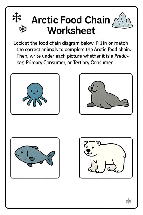 Arctic Food Chain Worksheet - Download & Print Now!