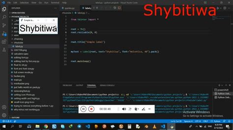 Image result for Python Button Tkinter Disable