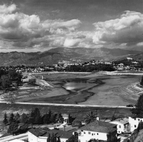 Native Plants at the Reservoirs — Silver Lake Reservoirs Conservancy