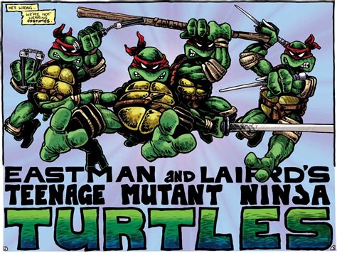 Ninja Turtles (Mirage) | TMNTPedia | Fandom powered by Wikia
