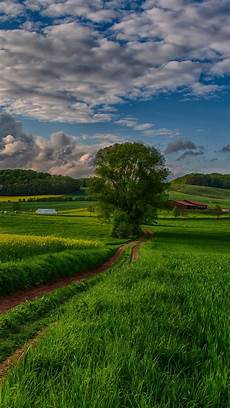 Beautiful Nature Hd Wallpaper For Mobile by Beautiful Nature Wallpaper For Mobile Beautiful Nature Beautiful Nature Hd Wallpaper For Mobile