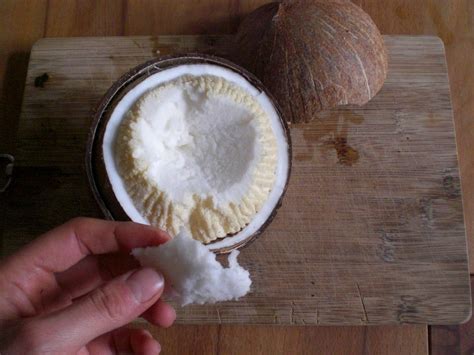 The "Apple" of the Coconut: is another edible part of the coconut. Its ...