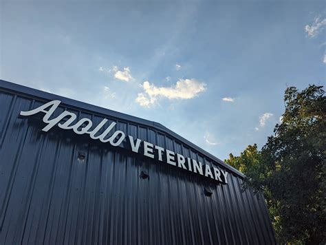 Best Veterinary In Central Texas | Apollo Veterinary