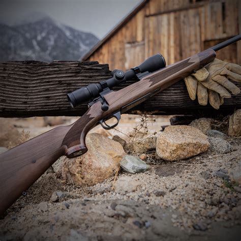 Rifles – Perry’s Gun Shop