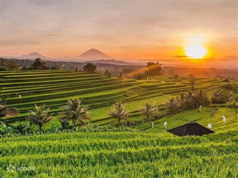 Bali Farm House & UNESCO World Heritage Sites Tour in Bali - Klook India