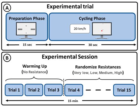 Effects of Force Modulation on Large Muscles during Human Cycling