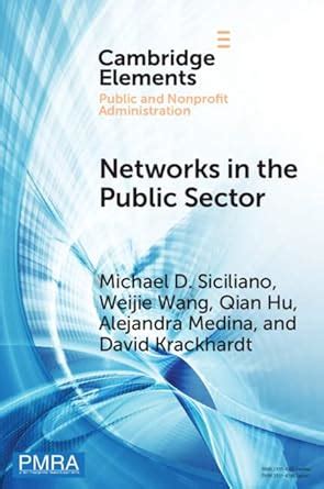 Networks in the Public Sector: A Multilevel Framework and Systematic ...