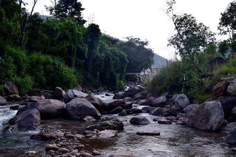 The 5 Best Hotel Deals in Bijanbari (Aug 2024) - Tripadvisor