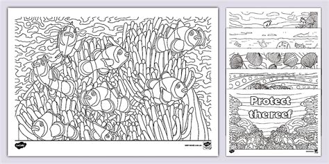 Summer Holidays Great Barrier Reef Mindfulness Pack 3-6