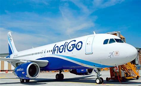 IndiGo's Mumbai-Doha flight faces tech issue; passengers wait long ...