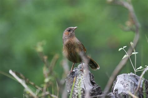 Techy Background 的图像结果