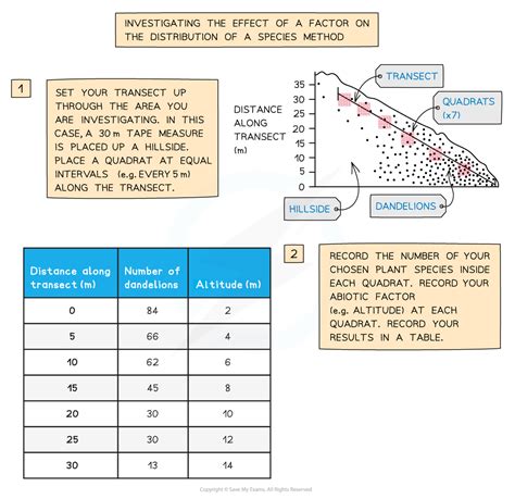 Zonation - IB ESS Revision Notes