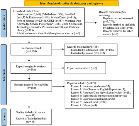 Meta-Analysis Definition 的图像结果