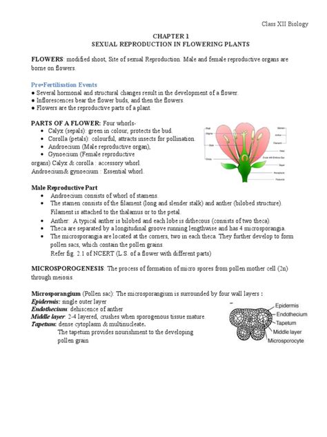 Image result for Class 12 Bio Ch1