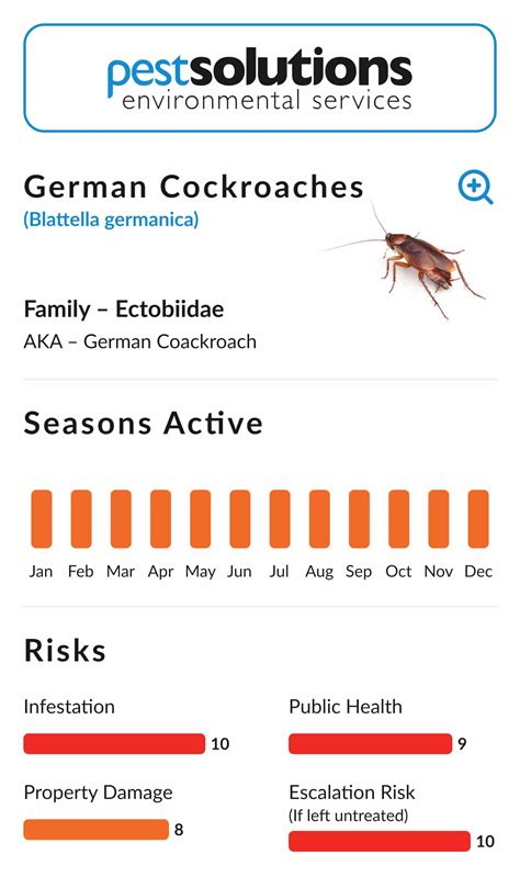 German Cockroach Infestation