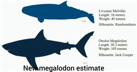 Megalodon Vs Livyatan