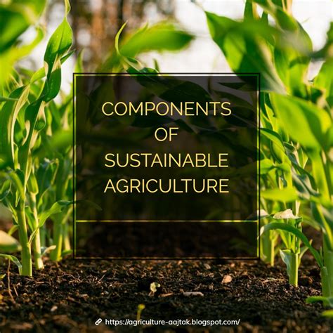 Sustainable Agriculture 的图像结果