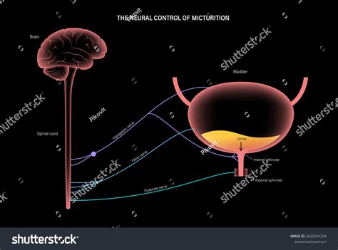 mication