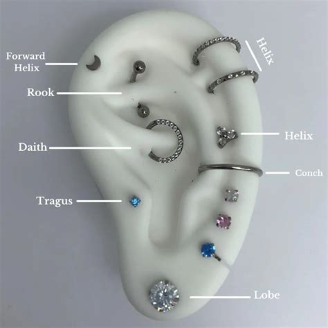 Ear piercing chart – Artofit