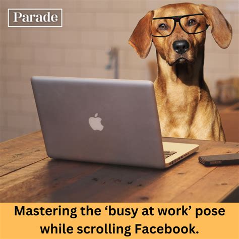 Funny Memes at Work 的图像结果